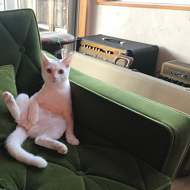 sakurasakuさんの実例写真