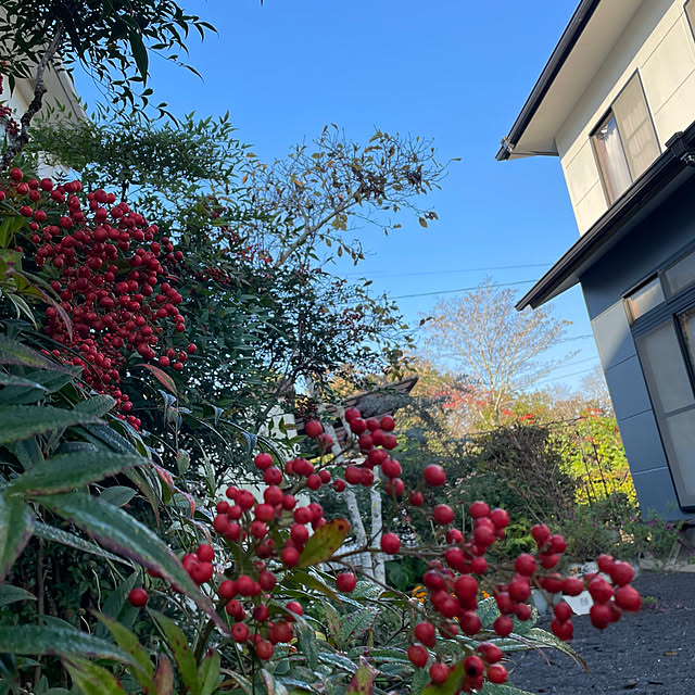 natsumiさんの実例写真