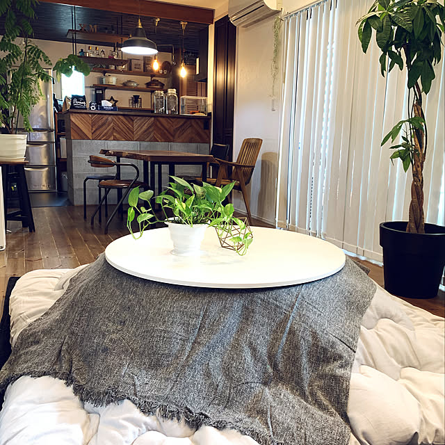 colonさんの実例写真