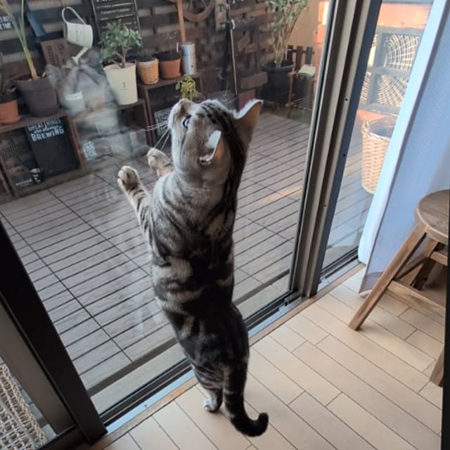 lovepeaceさんの部屋
