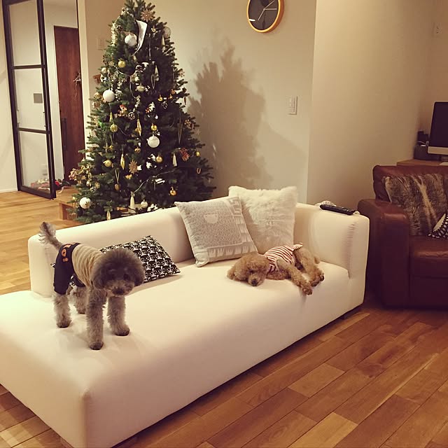 amiagramさんの実例写真