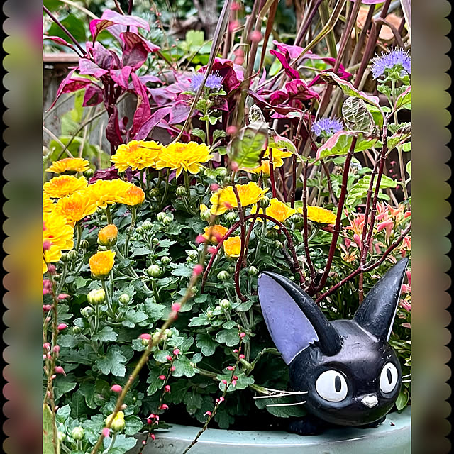 cotaさんの部屋
