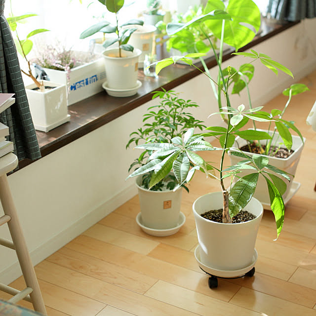 haruisabelさんの部屋