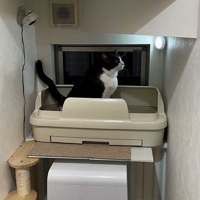 noryuminさんの部屋