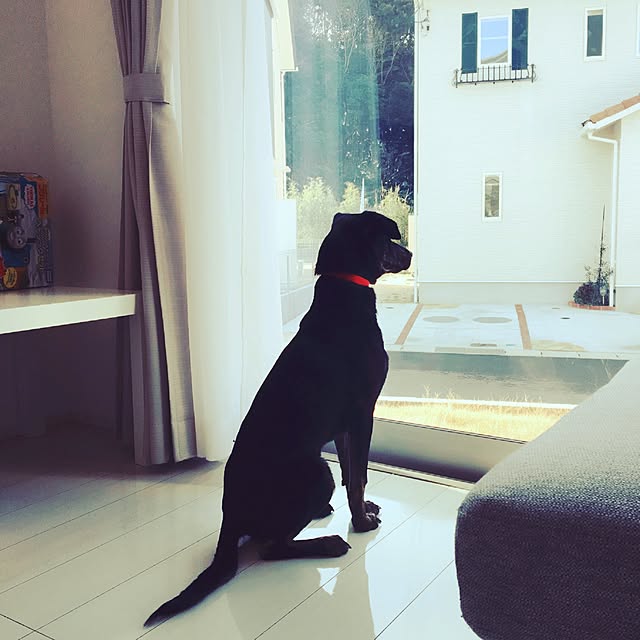 chiharuさんの実例写真