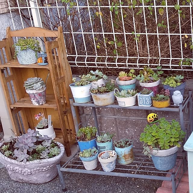 mi-tsuさんの部屋