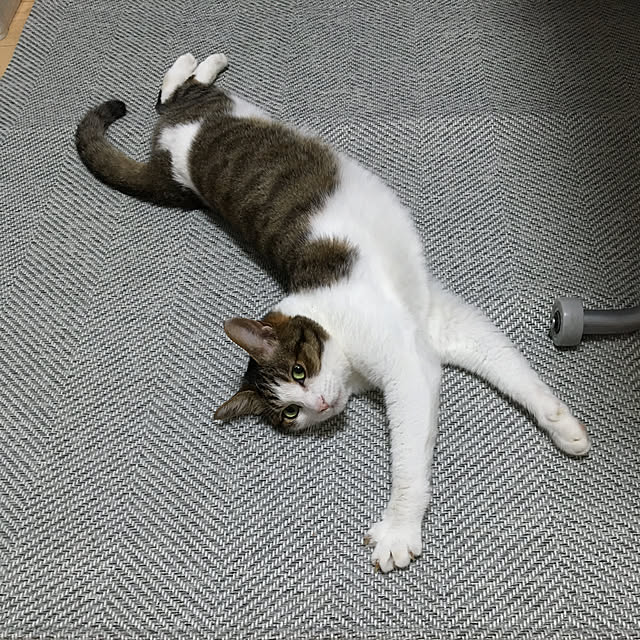 cocomarine820さんの実例写真