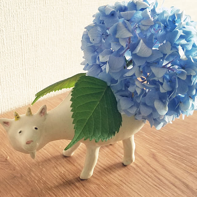 Coconamiさんの実例写真