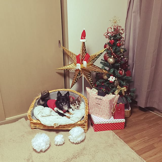 hitosan.さんの実例写真