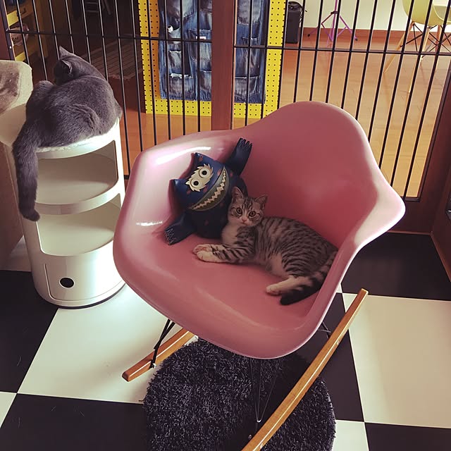 Shojiさんの実例写真