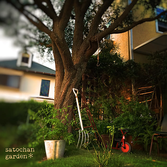 satochanさんの実例写真