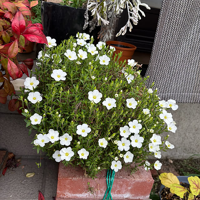 ritsukoさんの部屋