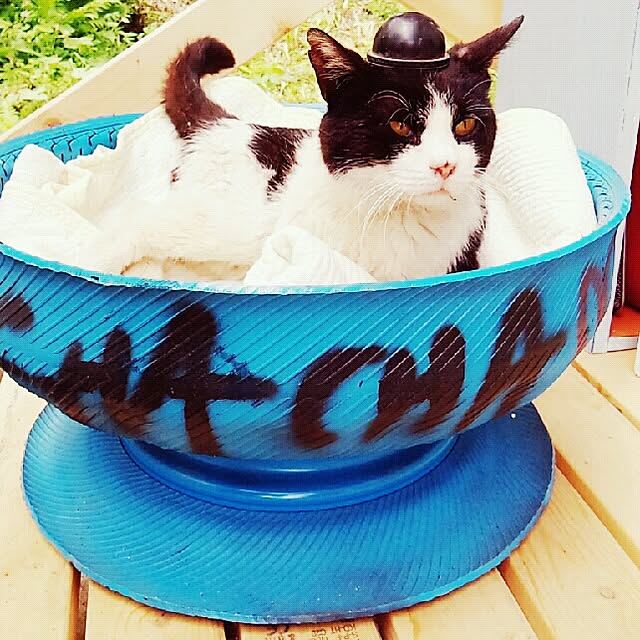 mikaさんの実例写真