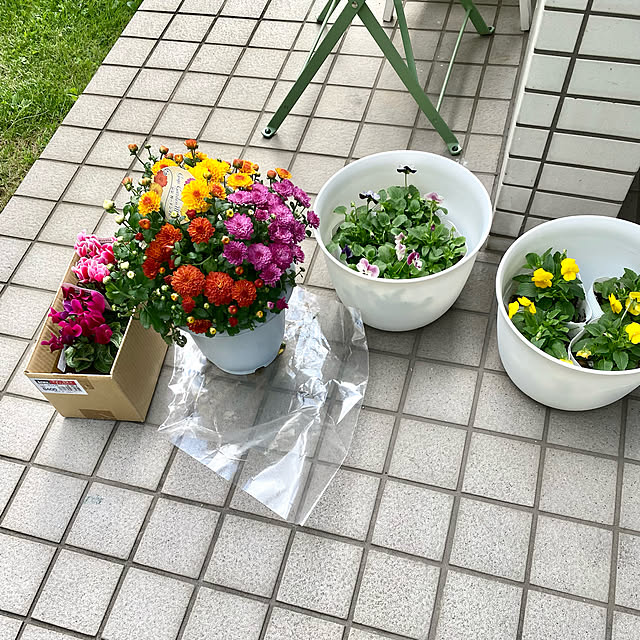 YuuKoさんの実例写真