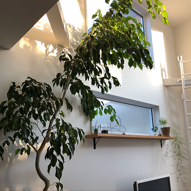satosatoさんの部屋