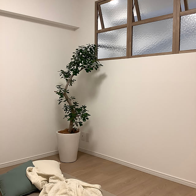naive.coccoさんの部屋