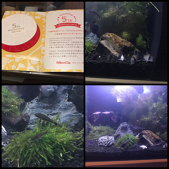 kouta_Co.さんの実例写真