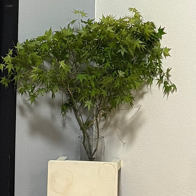 syutmmさんの部屋