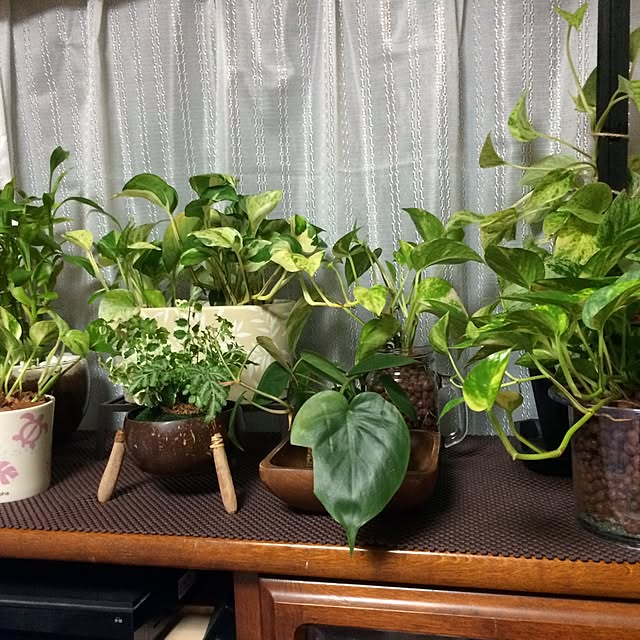 alomanaさんの実例写真