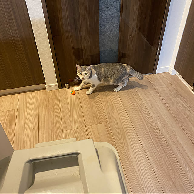 yuuさんの実例写真