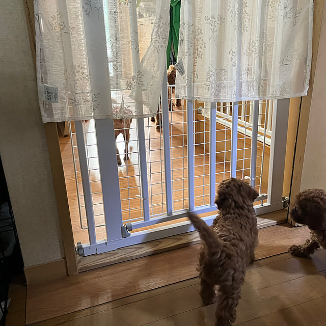 momoさんの部屋