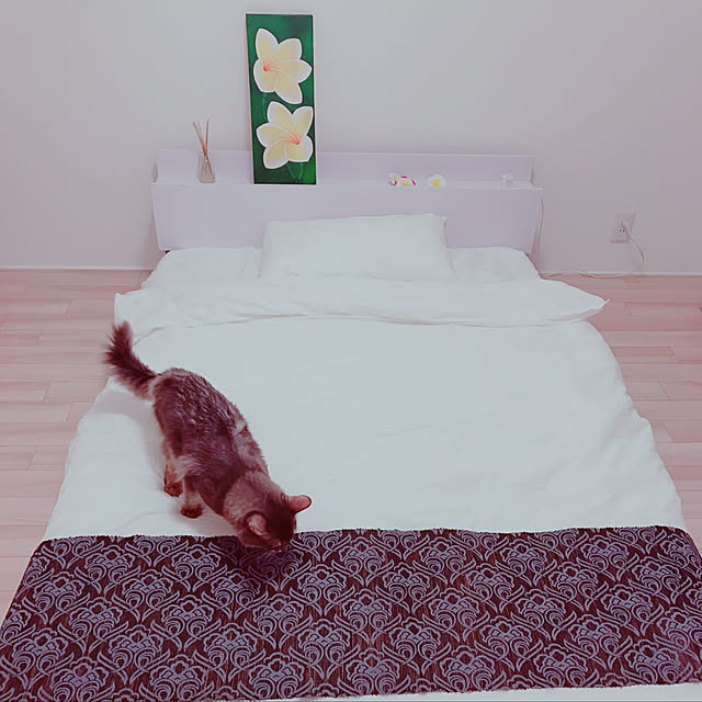 teteさんの実例写真