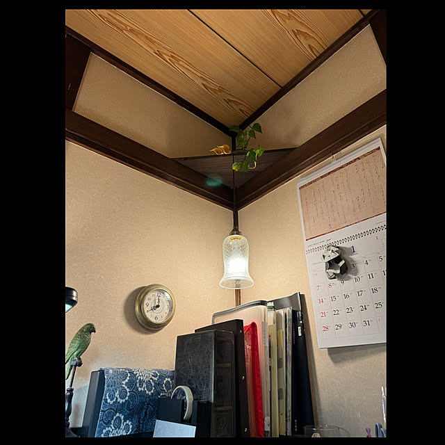 mamizaさんの部屋