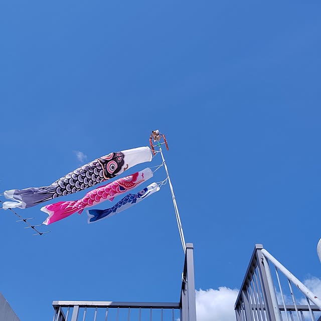 kkさんの実例写真