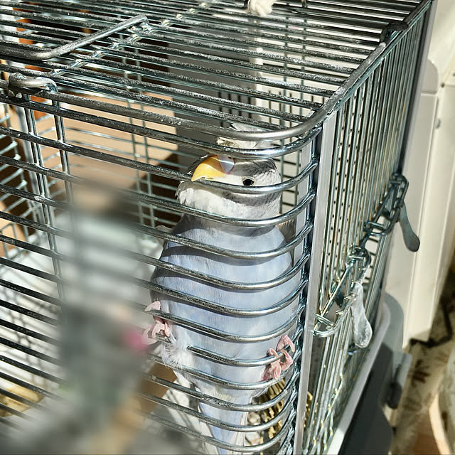 yuikonaさんの実例写真
