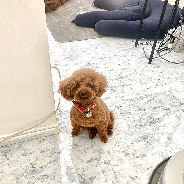 MOMOMAMAさんの部屋