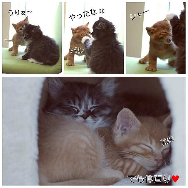 Hisashiさんの実例写真
