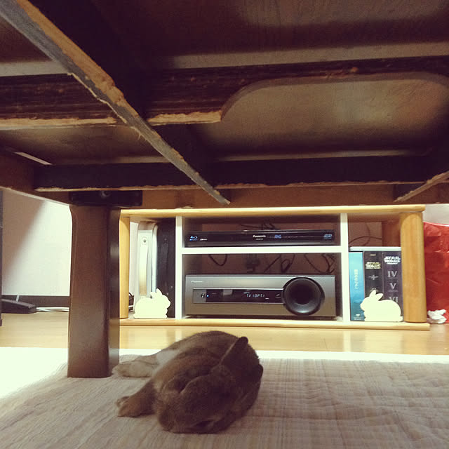 yuzu0223さんの実例写真
