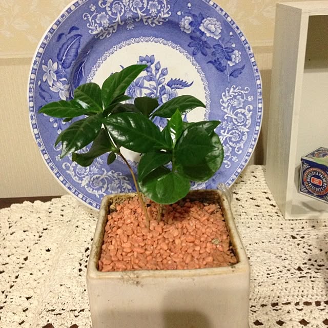 leonaさんの実例写真