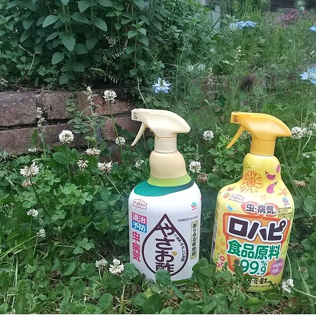 Rさんの実例写真