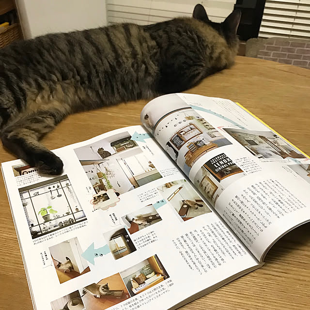 kazaneさんの実例写真
