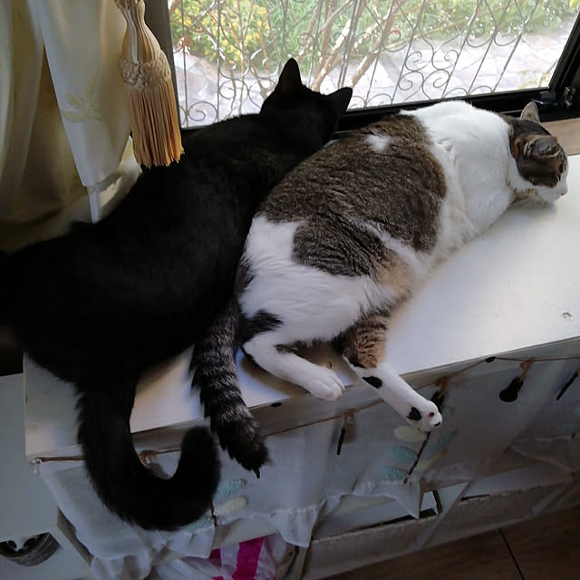Tomopさんの実例写真