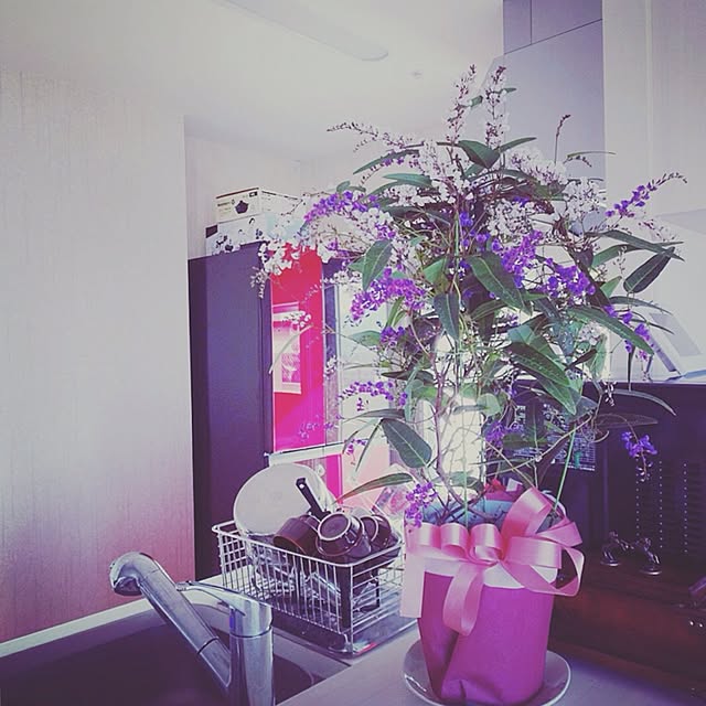 haikara0051さんの実例写真
