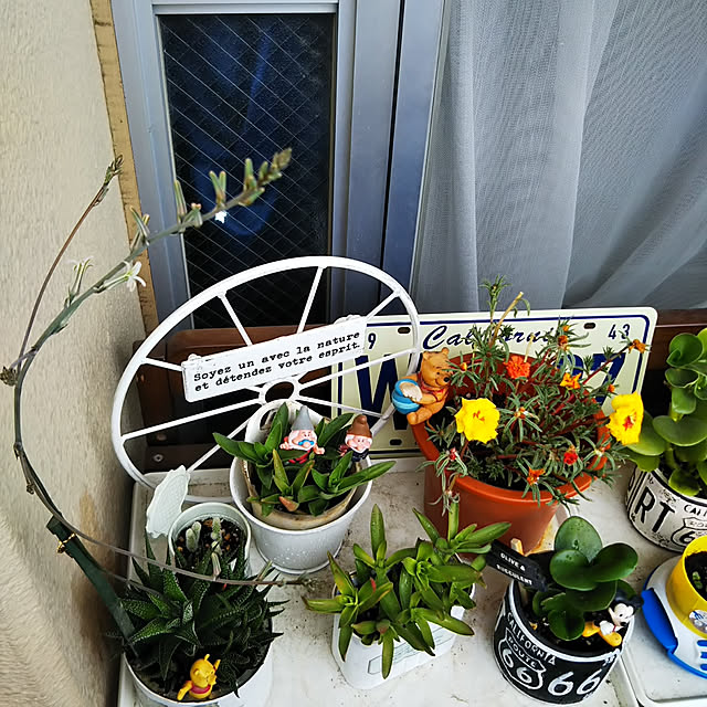 Yurieさんの実例写真