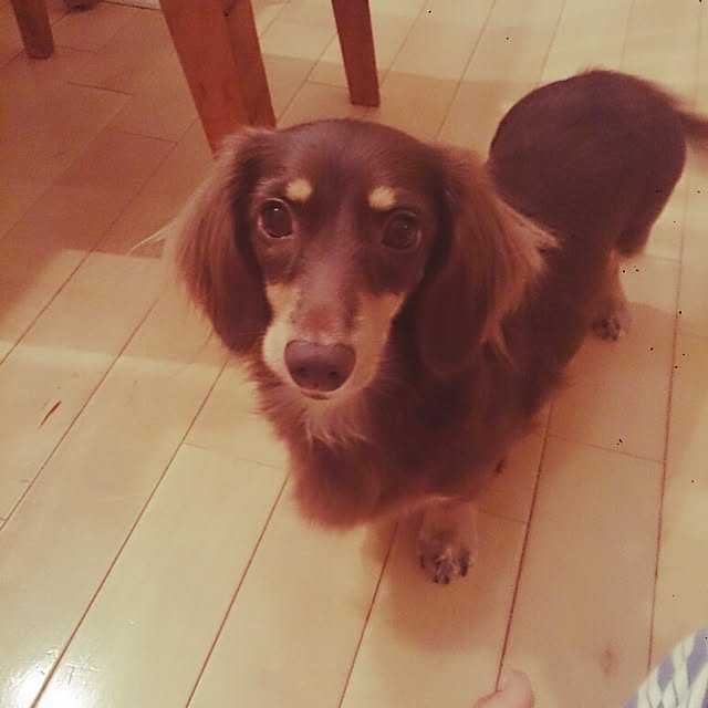 nyoro_roさんの実例写真