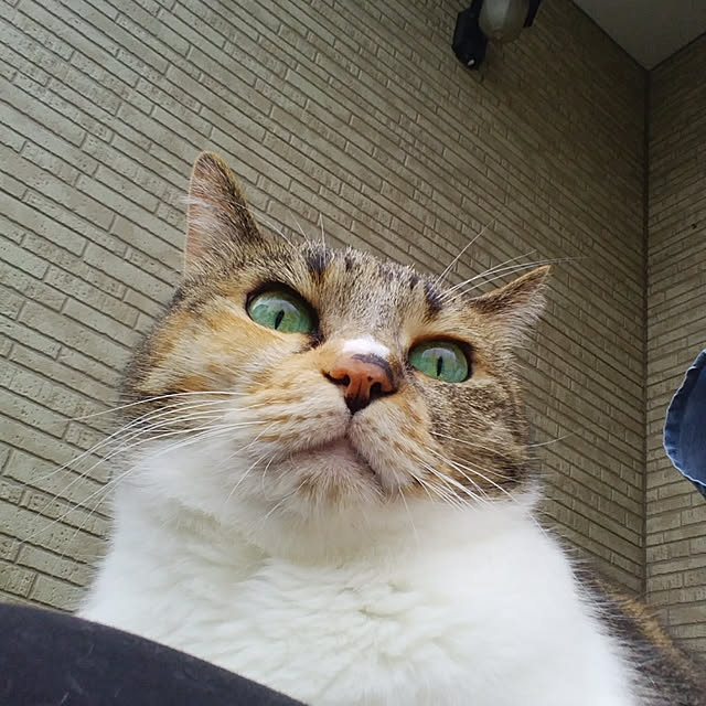 tomo1220さんの実例写真