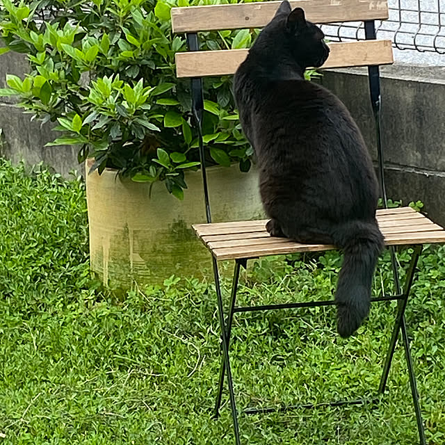 taakoさんの実例写真