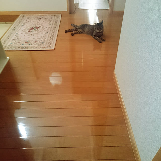 lilyさんの実例写真