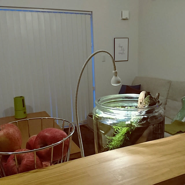 koyurizuさんの実例写真