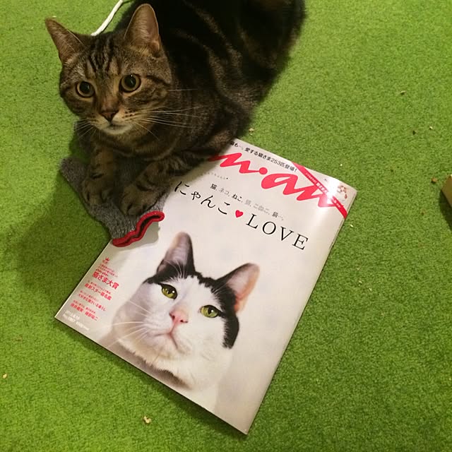 mikomaruさんの実例写真