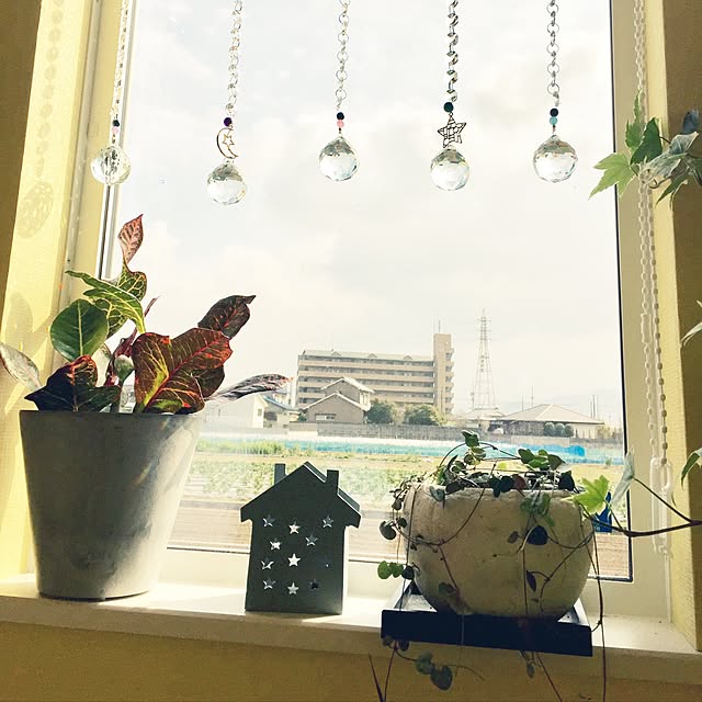 机/窓/観葉植物/ダイソー/ハートカズラ...などのインテリア実例 - 2017-02-14 11:27:33