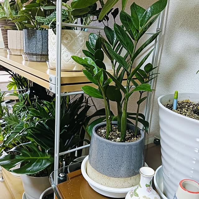 hanachanさんの部屋