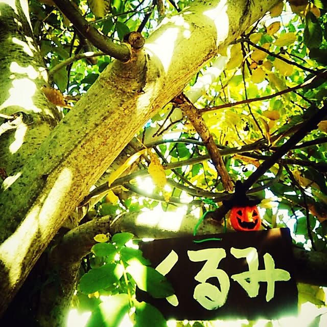 kanokomameさんの実例写真