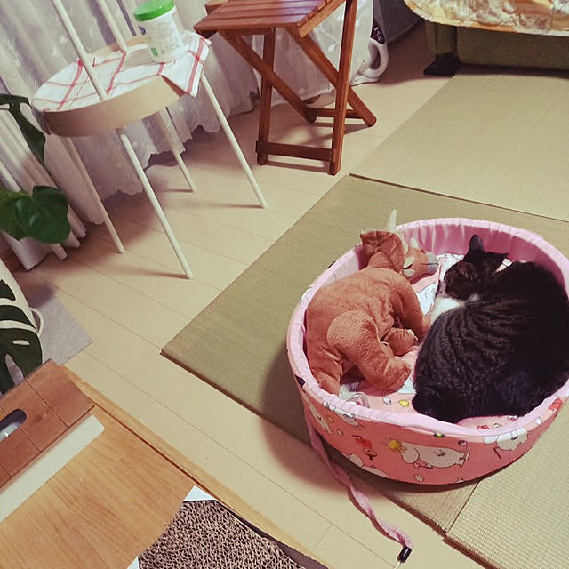 civicglさんの実例写真