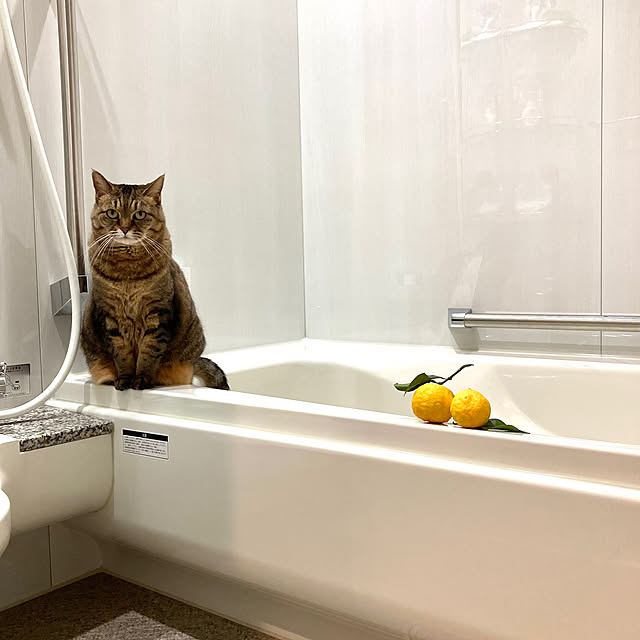 kirinsanさんの実例写真