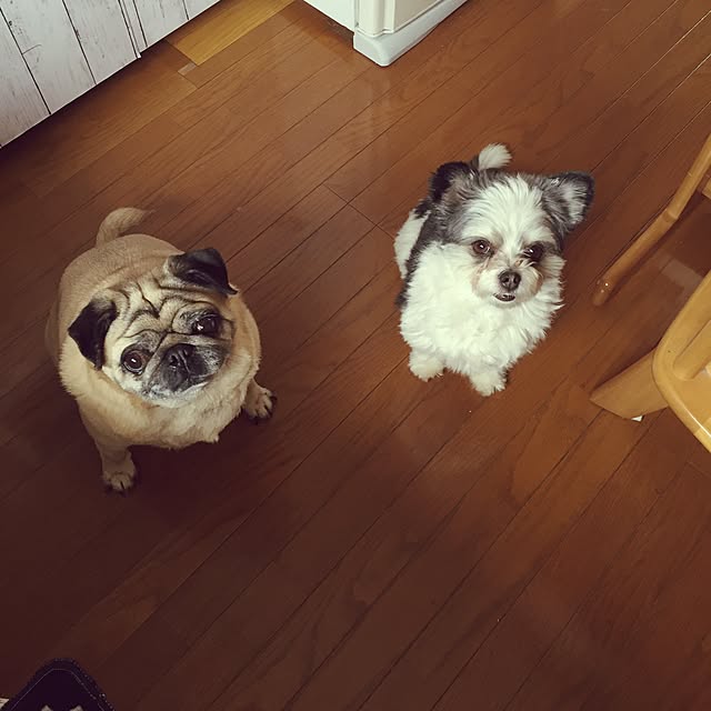 picoさんの実例写真